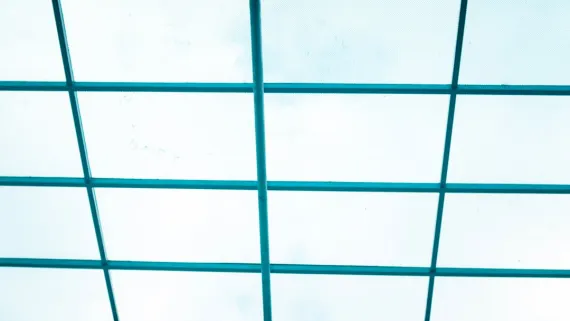 FruityVegas Cazino Cazinou Suport